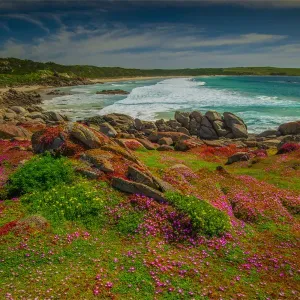 Northern coastline of King Island at Disappointment bay Northern coastline of King Island at Disappointment bay