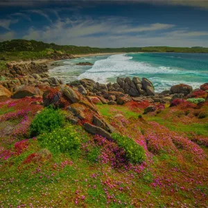 Northern coastline of King Island at Disappointment bay Northern coastline of King Island at Disappointment bay