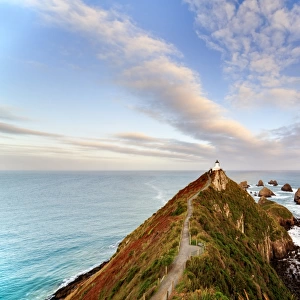 Nugget Point New Zealand