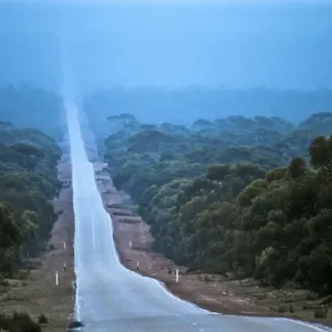 Images Dated 2008 December: 12 Dec 2008