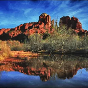 Images Dated 2010 January: 7 Jan 2010