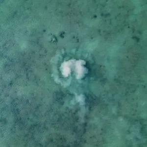 Ocean floor disturbed by a fish moving shot from a drone point of view, Broome, Western Australia, Australia Ocean floor disturbed by a fish moving shot from a drone point of view, Broome, Western Australia, Australia