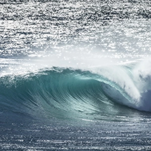 ocean, wave, surfer