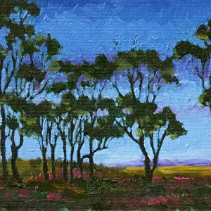 Oil Painting Australian Gum Trees at Twilight