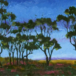 Oil Painting Australian Gum Trees at Twilight