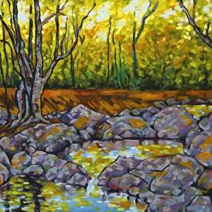 Oil Painting of River Rock Pools Trees and Dappled Sunlight
