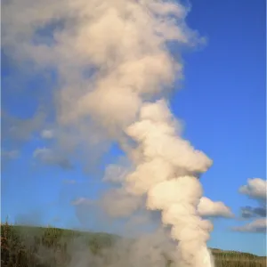 Old faithful erupting, Yellowstone National Park, Wyoming, USA