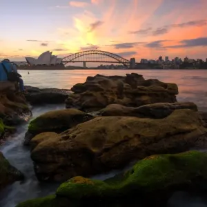 Opera House Print, Sydney Australia