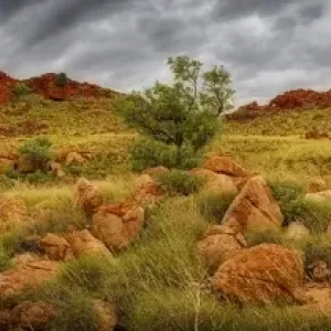 Ord Ranges Panorama