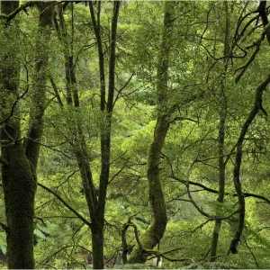Images Dated 2010 May: 24 May 2010