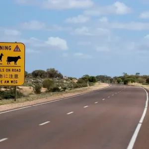 OutBack