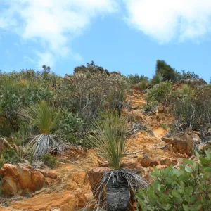 Images Dated: 2007