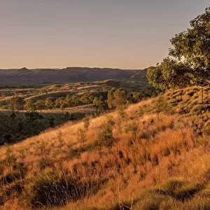 Outback landscape