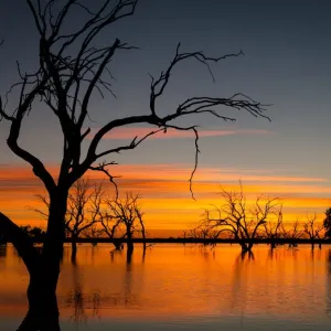 Outback Sunrise over Lake Pinaroo Outback Sunrise over Lake Pinaroo