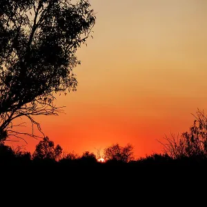 Outback sunset