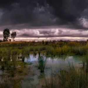 The Ovens River Print, Wangaratta