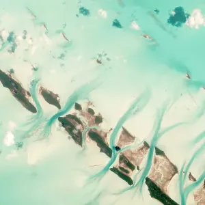 Images Dated 2020 March: 25 Mar 2020
