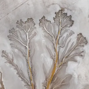 Overhead shot showing branches from a river tributary on a dry floodplain, Derby, The Kimberley, Western Australia, Australia