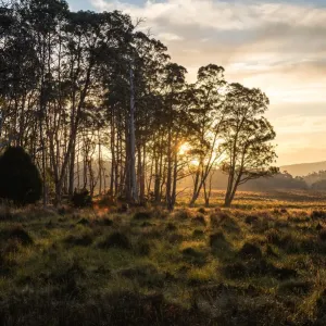 Overland Track at Sunset