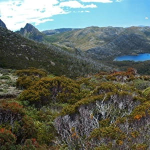 Overland track in Tasmania