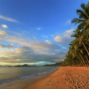 Palm Cove sunrise