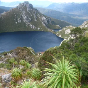 Pandani over Lake Oberon, Tasmania, Australia