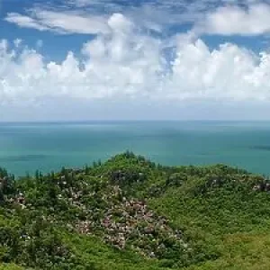 Panorama of the coast, nature, landscape, eucalyptus, sea, Pacific Ocean on the tropical island of Magnetic Island, Queensland, Australia, Oceania Panorama of the coast, nature, landscape, eucalyptus, sea, Pacific Ocean on the tropical island of Magnetic Island, Queensland, Australia, Oceania