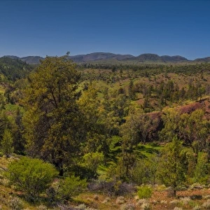 A panorama of the Glass Range, Flinders Ranges national park, South Australia