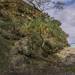 Panoramic view of Point Lookout, North Stradbroke Island