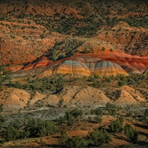 Paria Wilderness, Arizona, south western United States of America