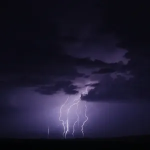 Perfect Purple Perfect Purple