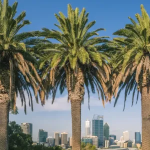 Perth City and Central Business District from Kings Park Perth City and Central Business District from Kings Park