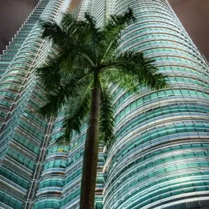 Petronas Towers