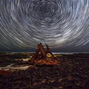 Phillip Island Stars