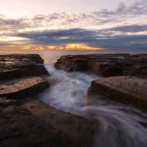 Print of Phoenix Tail Seascape Morning Turimetta, Sydney
