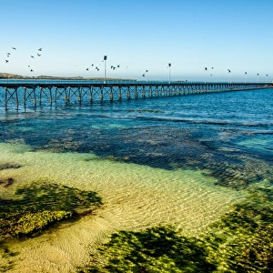 Pier in Elliston, South Australia