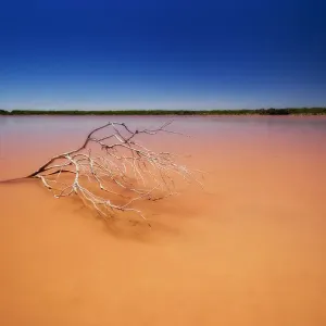 Pink Lake Coorong SA Pink Lake Coorong SA