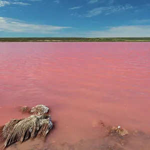 Pink Lake, Hutt Lagoon (Port Gregory - Western Australia)