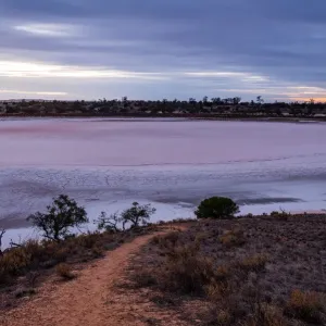 Pink Salt Lake Landscape Print, Murray-Sunset National Park
