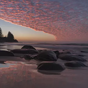 Pink sunrise on the Sunshine Coast, Queensland