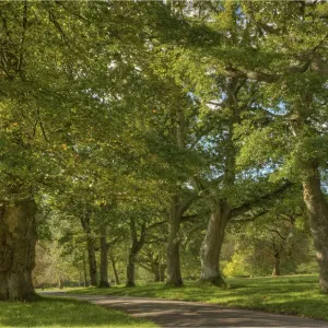 Images Dated 2012 September: 29 Sep 2012