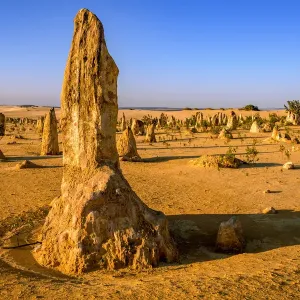 Pinnacle Desert
