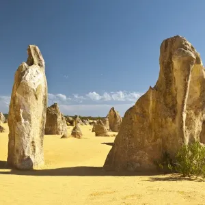 pinnacles
