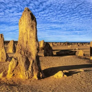 The Pinnacles, Cervantes, Nambung National Park