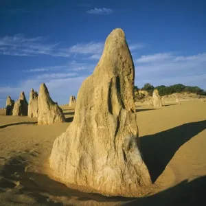 Pinnacles in Desert