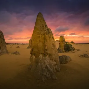The Pinnacles Desert Of Nambung National Park, Western Australia, Australia