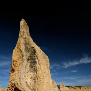 Coral Coast, Western Australia Canvas Print Collection: Nambung National Park (The Pinnacles)