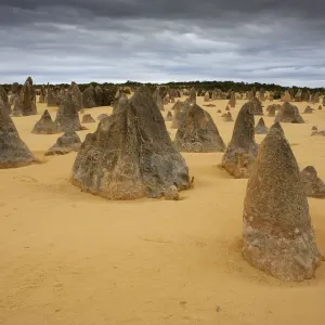 Pinnacles at Nambung National Park
