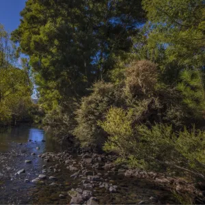 Plenty river in late summer, southern Tasmania, Australia