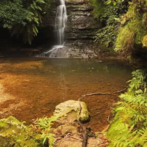 Pool of Siloam, Leura, Blue Mountains Pool of Siloam, Leura, Blue Mountains